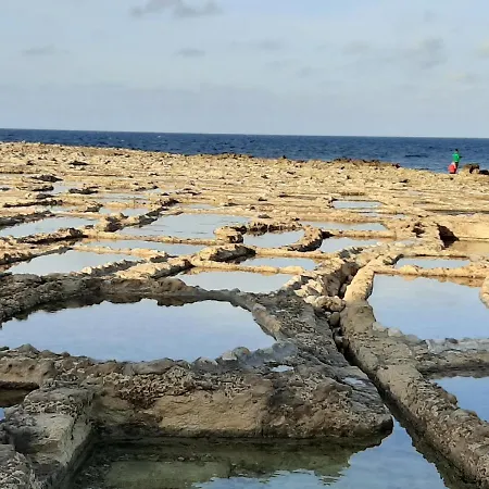 Ta Wigi Gozo Munxar