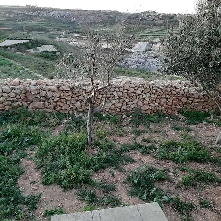 Ta Wigi Gozo