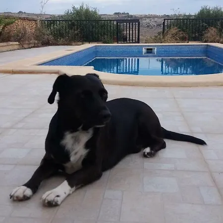 Ta Wigi Gozo