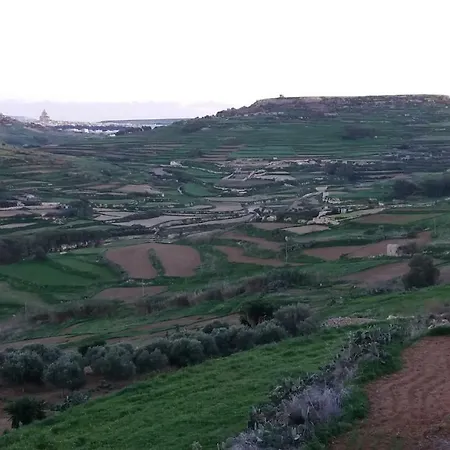 Ta Wigi Gozo